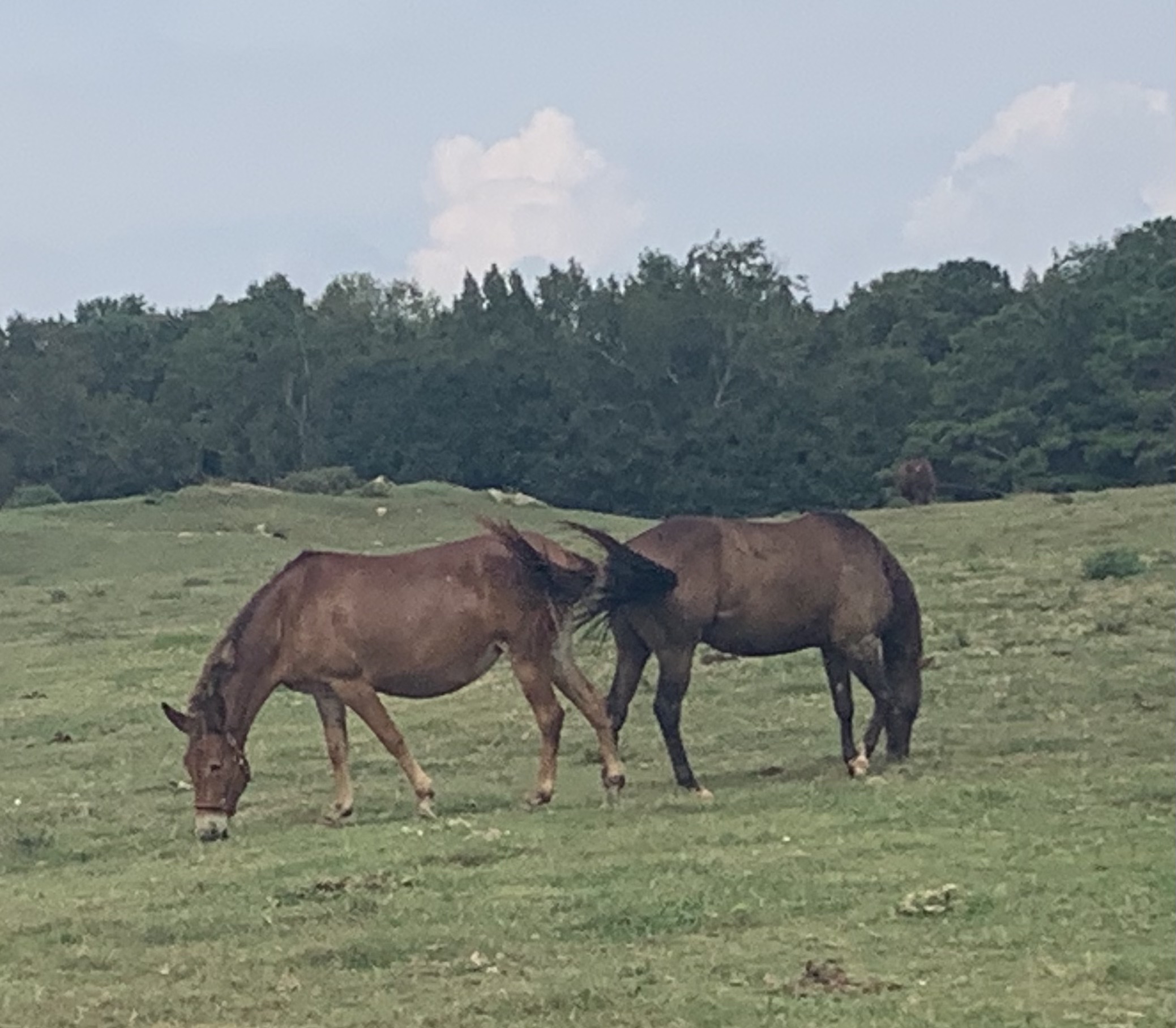 ./2021/07 - Southern Cross/IMG_5407.JPG